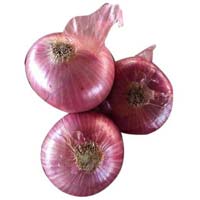 Fresh Big Onion